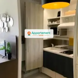 Appartement 1 pièce 25,26 m2 Saint-François à vendre