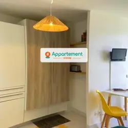 Appartement 1 pièce 25,25 m2 Saint-François à vendre