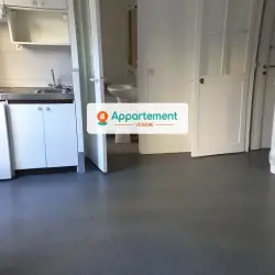 Appartement 1 pièce 30,26 m2 Paris 14 à vendre