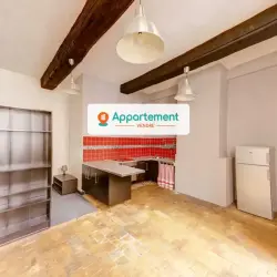 Appartement 1 pièce Lyon 1 à vendre