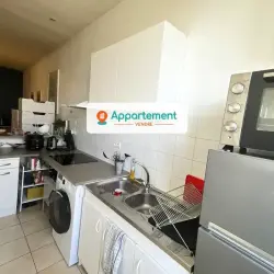 Appartement 2 pièces 41,50 m2 Lyon 7 à vendre