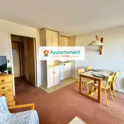 Appartement 1 pièce 24 m2 Villard-de-Lans à vendre